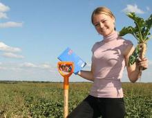 Курсовая работа: Сельское хозяйство Российской Федерации